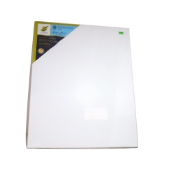 Stretch Artist Canvas 16x 20 Primed Backed Stapled"