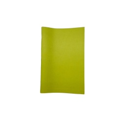 Conference Book Green 6 x 9" Lined Pages Spector & Co."