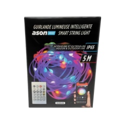 Smart String Light 5m 33 LED Indoor/Outdoor Ason Décor