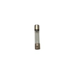 25 Amp Fuse