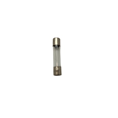 25 Amp Fuse