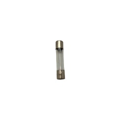 2 Amp Fuse