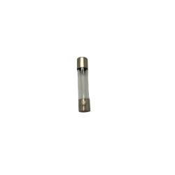 30 Amp Fuse