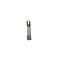 5 Amp Fuse