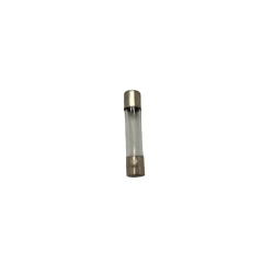 8 Amp Fuse