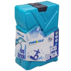 Pinnacle Ice Bricks 600ml 2 Pack 5.2x1.2x8 Inch 13x3x20cm