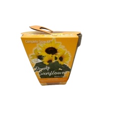 Dwarf Sunflower Pot Complete Grow Kit Totalgreen Non Gmo