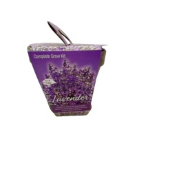 Lavender Pot Complete Grow Kit Totalgreen Non Gmo
