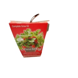 Strawberry Pot Complete Grow Kit Totalgreen Non Gmo