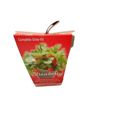 Strawberry Pot Complete Grow Kit Totalgreen Non Gmo