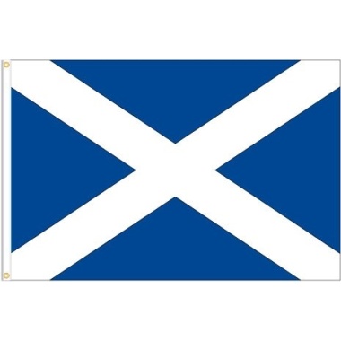 Flag 36x60