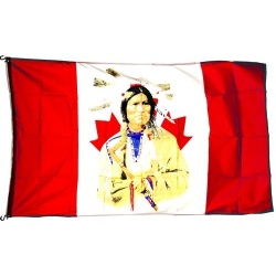 Flag 3x5Ft Native Indian