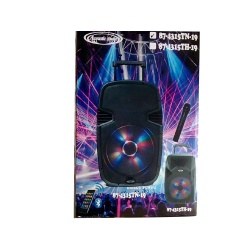 Active Speaker 15 TWS w/ Bluetooth & FM Acoustic Audio"