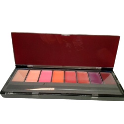 Make Up Kit Alluring Matte Color Lipstick Palette