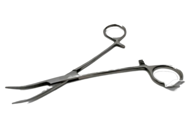 Forceps Curved 5.5 Stainless Steel\