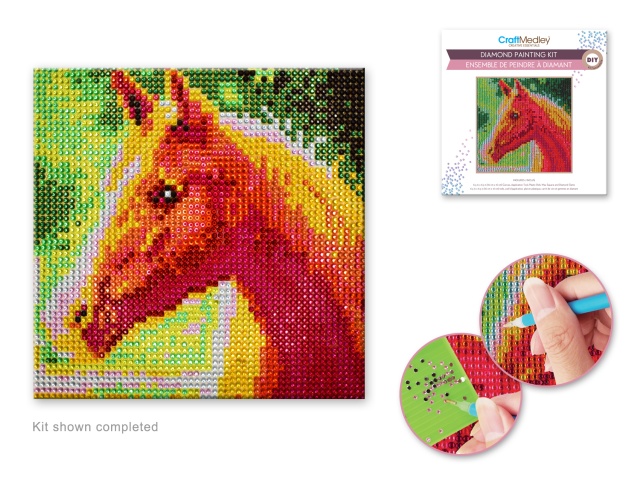 Craft Medley Kit: DIY Diamond Painting Kit A) Horse