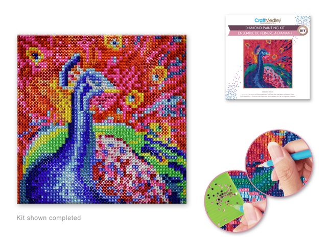 Craft Medley Kit: DIY Diamond Painting Kit D) Peacock