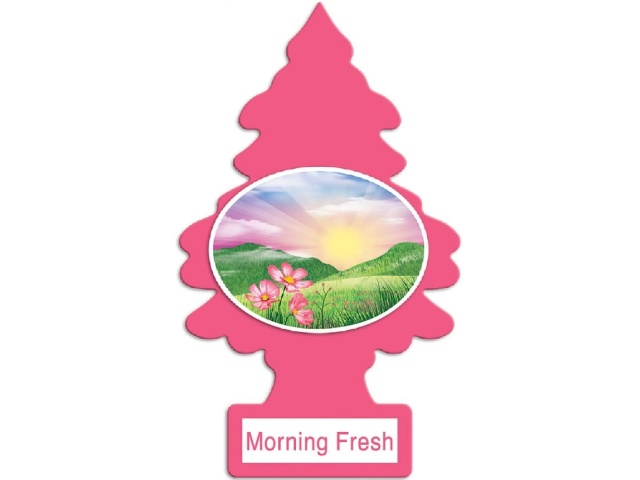 LITTLE TREES MORNING FRESH/144