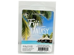 Wax Melts 2.5oz. Fiji Fantasy Scentsationals