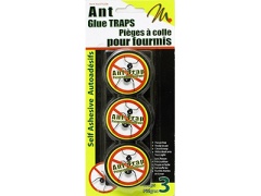 ant traps