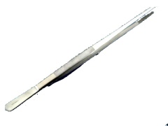 Forceps, thumb dressing, 300mm 12, stainless