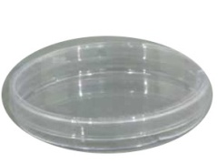 Petri dish polystyrene 90x15mm sleeve of 10