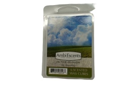 Wax Melts 2oz. In The Clouds Ambi Escents