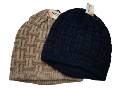 Ladies Insulated Beanie Assorted