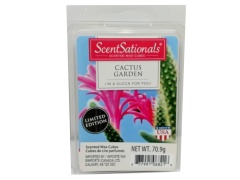 Wax Melts 2.5oz. Cactus Green Scentsationals