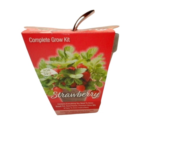 Strawberry Pot Complete Grow Kit Totalgreen Non Gmo